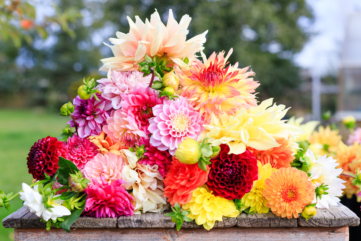 Boutique Bouquets